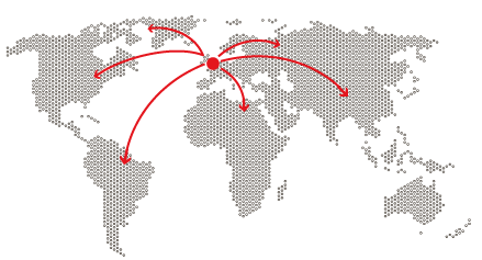 International individual or team coachings